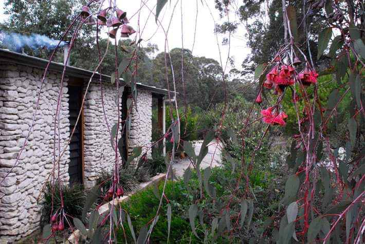 Boranup Cottage